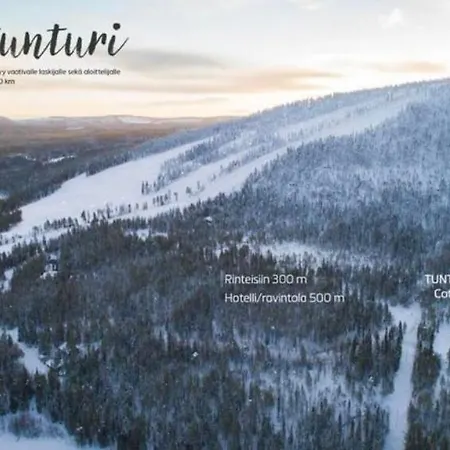 Апартаменты Arcticvillas Tunturituikku